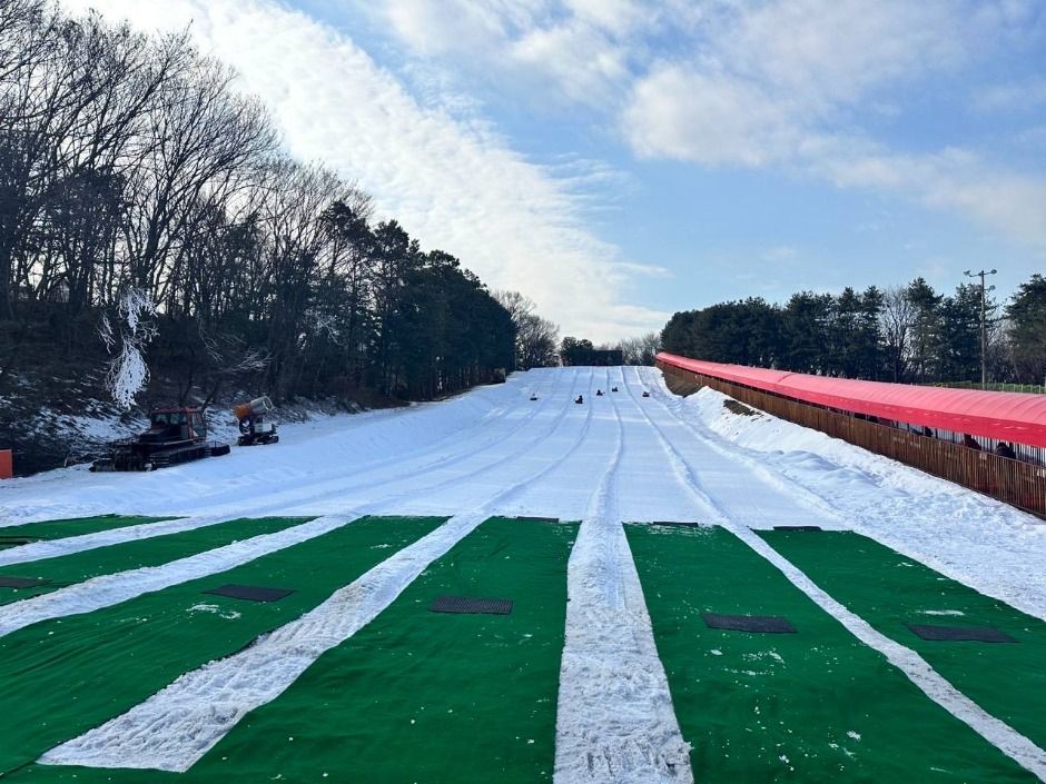 韩国民俗村雪橇场