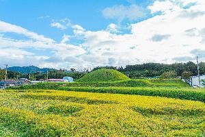 해남 용두리 고분