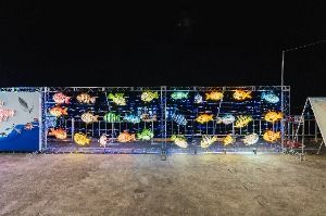 2025 죽변항 수산물축제 5