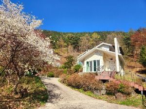 국립속리산말티재자연휴양림