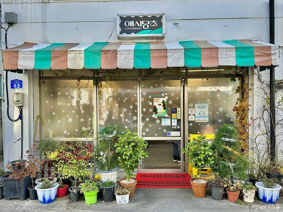 アシダンチョ