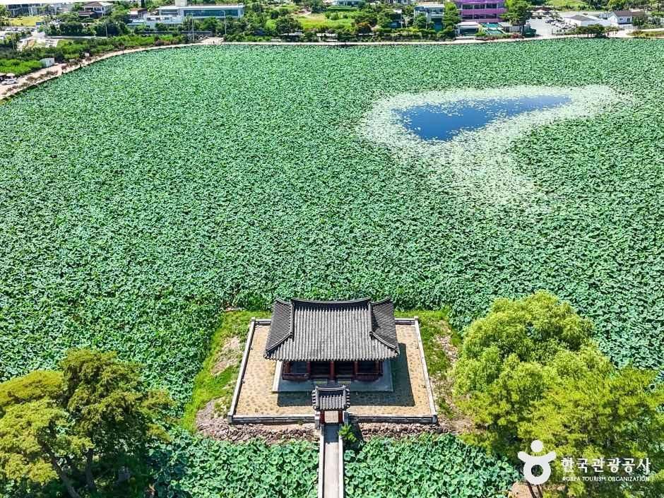 청도_유등연지 (2).jpg