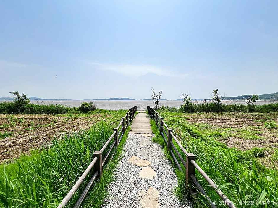 인천_후애돈대 (5).jpg