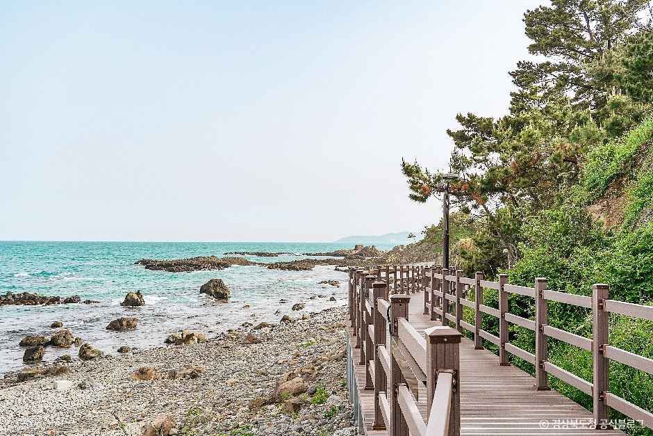 경주 양남 주상절리군