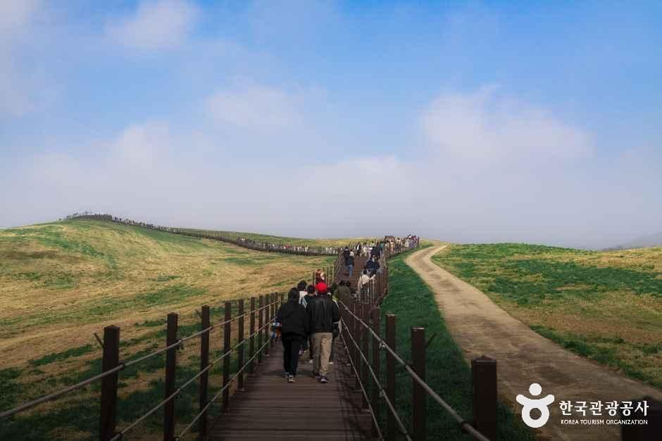 瑞山韩牛牧场养生步道