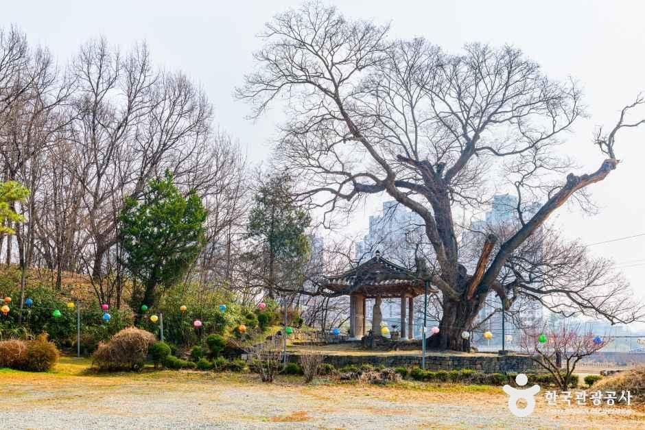 증평 미암리 석조관음보살입상