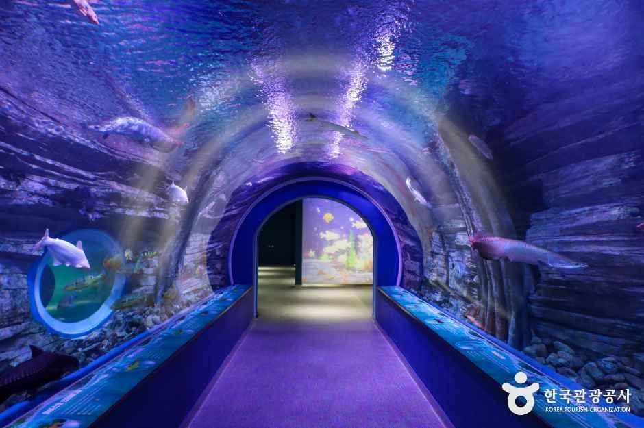 충주아쿠아리움