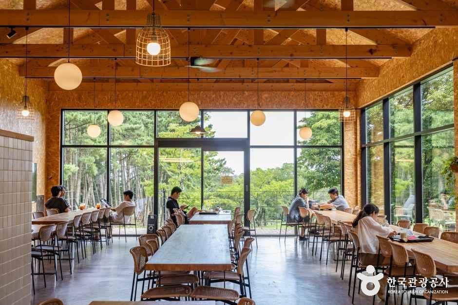 제주_이끼숲소길 (15).jpg