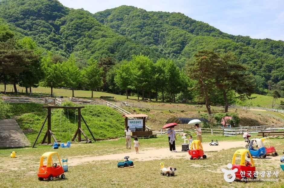 해피초원목장