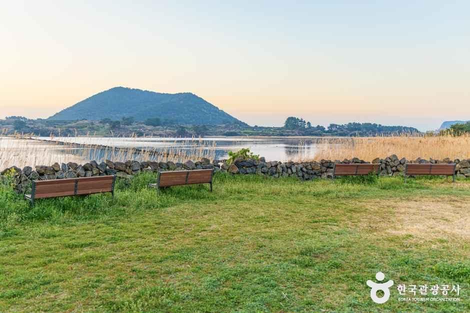 하도리 철새도래지
