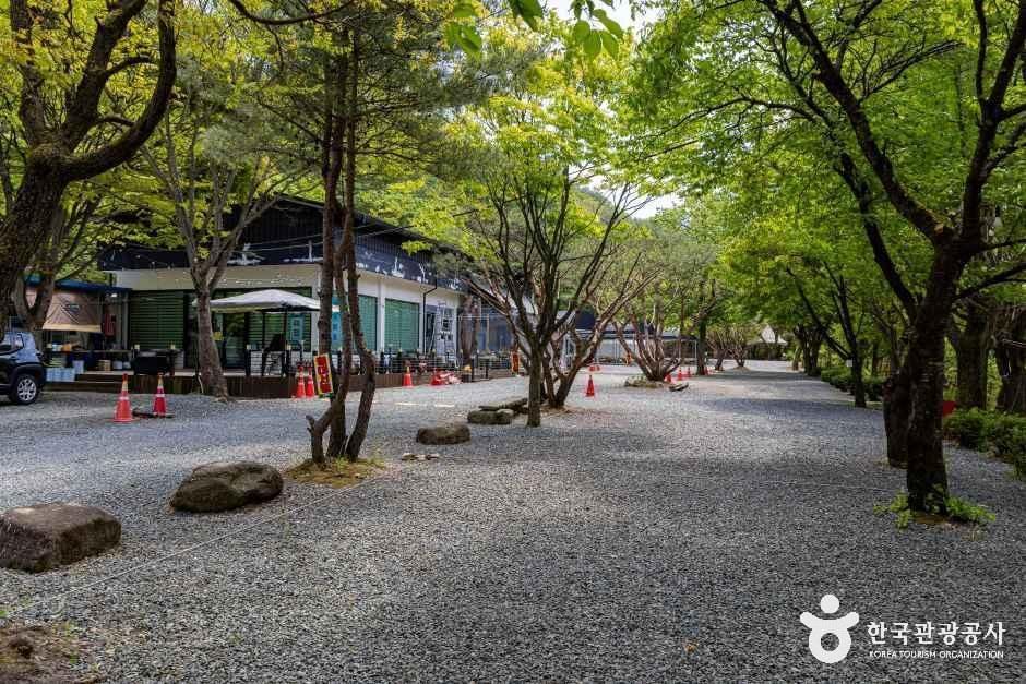 쌍곡예당