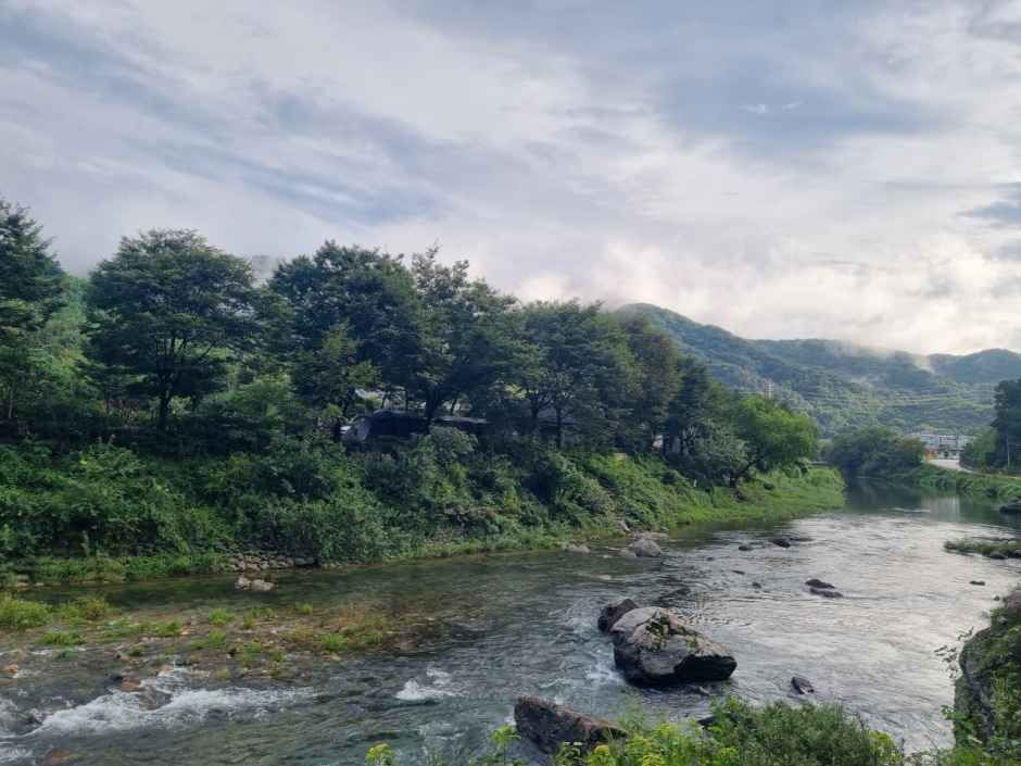 수입리캠핑장