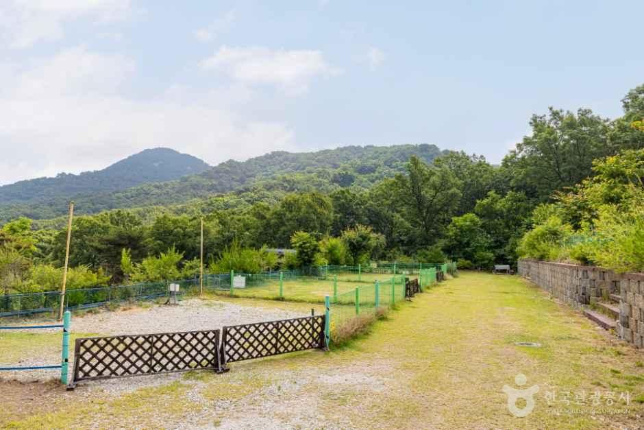 석모도 부자캠핑 사진 5