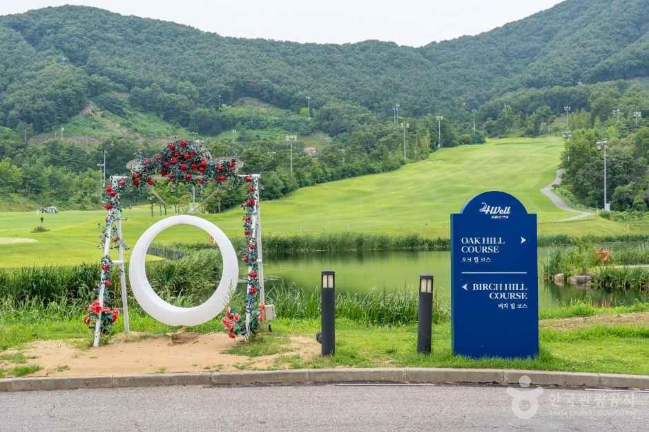 포웰CC 안성 사진 3