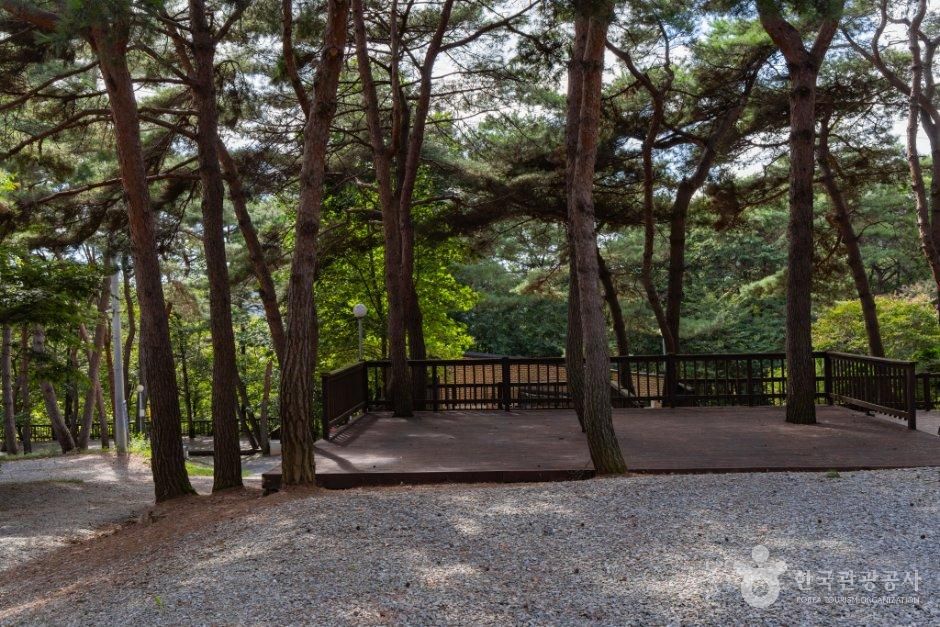 용봉산캠핑장