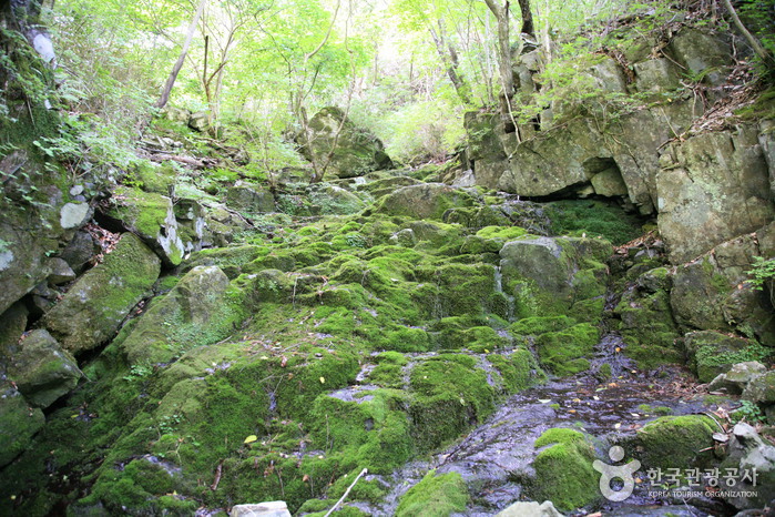 雲長山