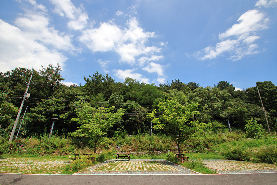 サンディ村生態公園キャンプ場