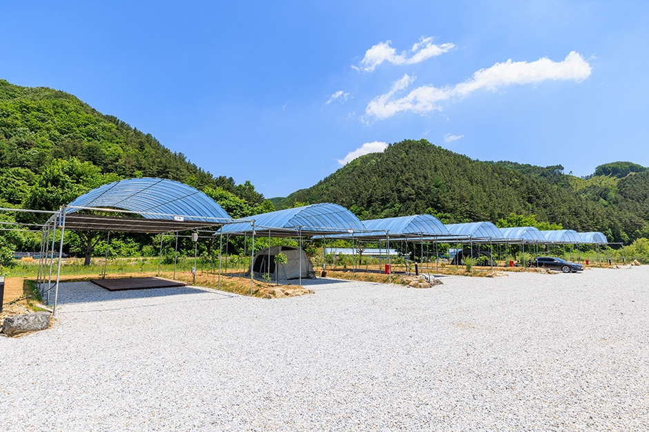 珍岳山自驾露营地