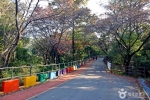 대전 보문산 행복 숲 둘레길 (8)