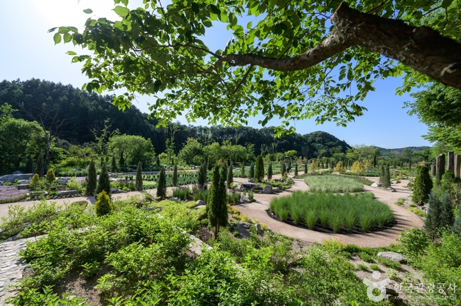 The Stay Healing Park
