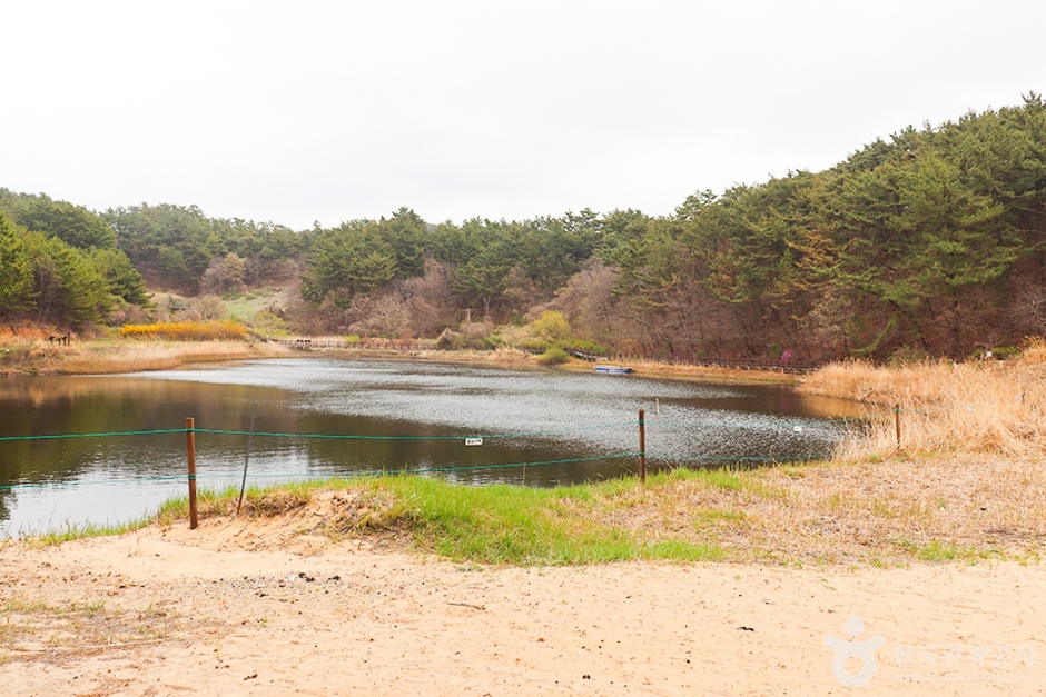 Duung Wetland