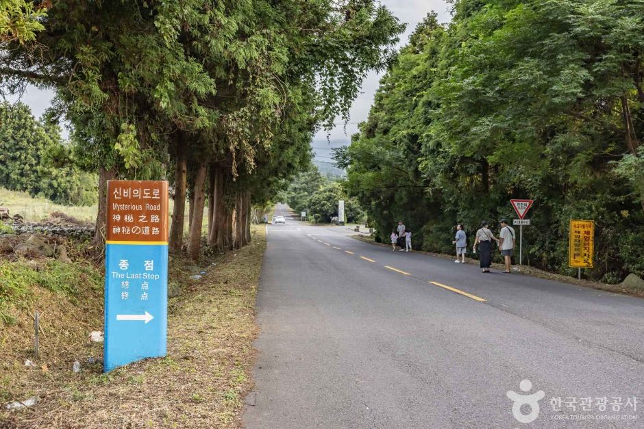 神秘之路