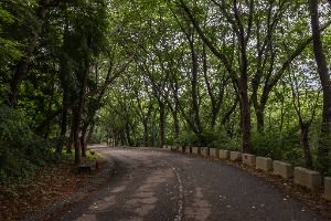 인천_대학공원 (4)