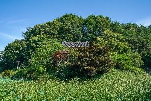 예천권씨 병암정 및 별묘 사진 2