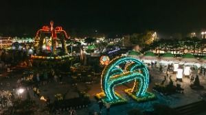 2025 익산천만송이 국화축제 8