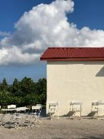 아날로그감귤밭