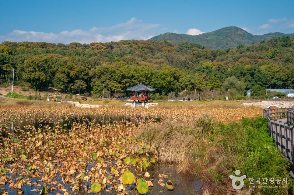 ナブルジ生態公園