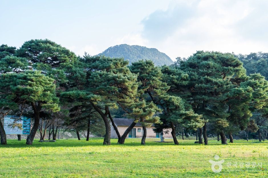 九松亭遊園地