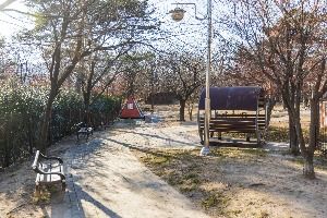 포항_포항댕댕동산 (5) 미리보기