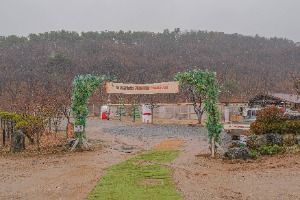 3589281 image3 1 예스키즈존 탐험대 : 실패 없는 육아여행