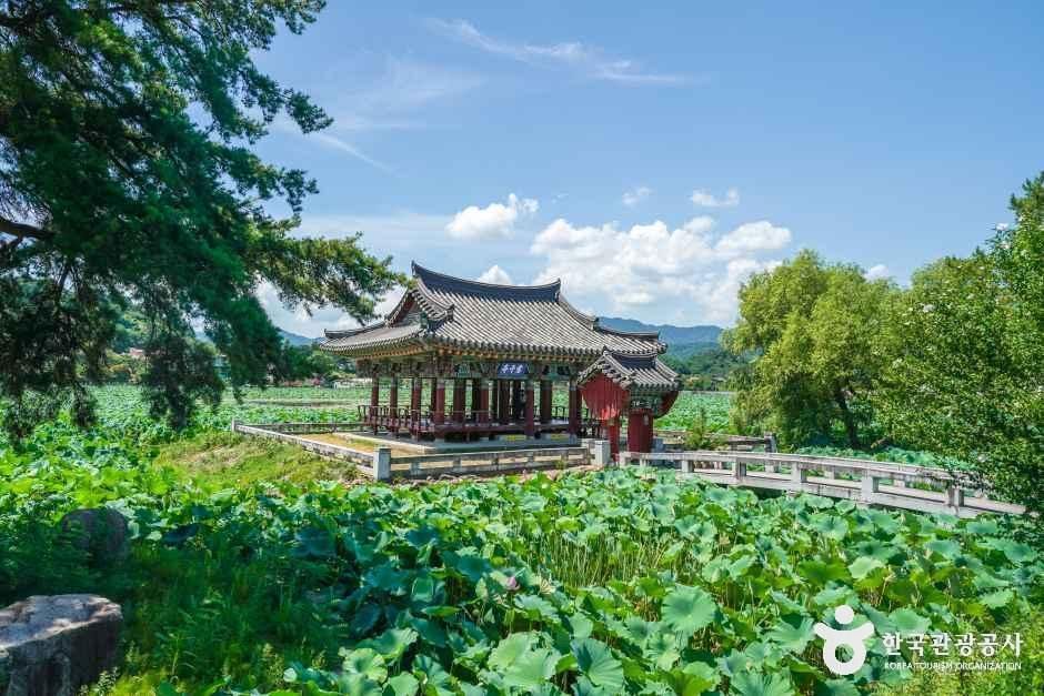 청도_유등연지 (3).jpg