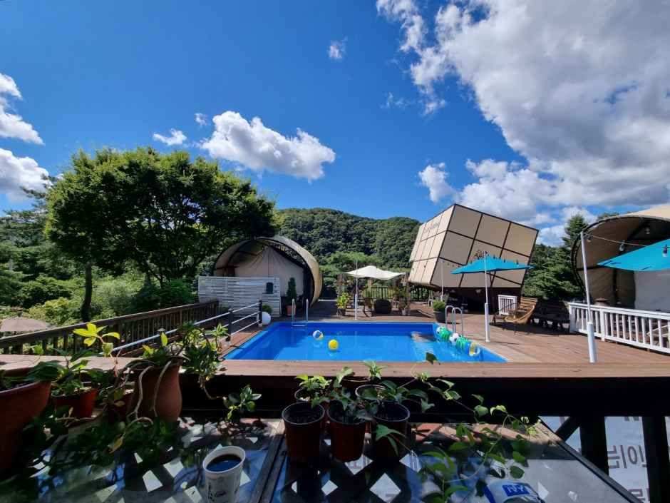 홍천_아레나펜션_수영장 (1).jpg