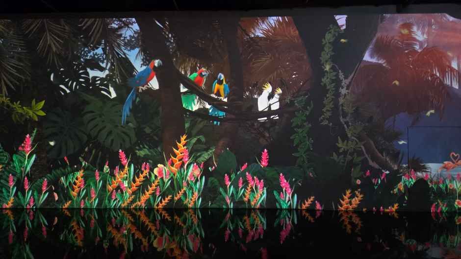 정글미디어파크