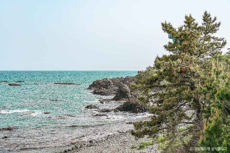 경주 양남 주상절리군