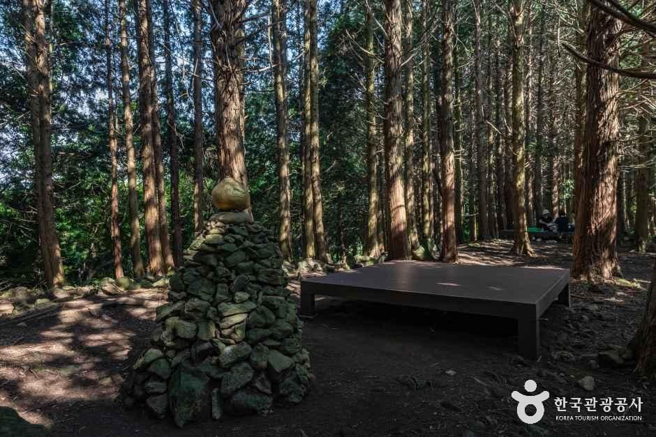 아라동 치유의 숲