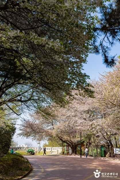 월미산