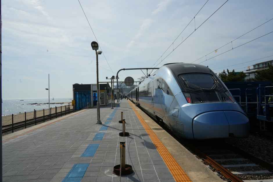 正東津駅に停車中の清凉里発東海行きKTX-イウム841号