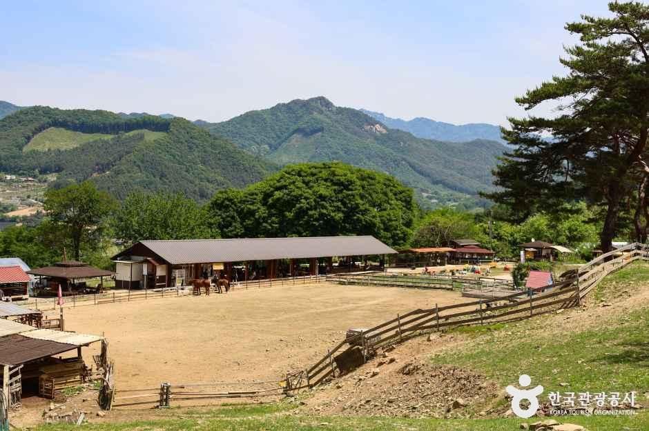 해피초원목장 반려동물 동반 여행지