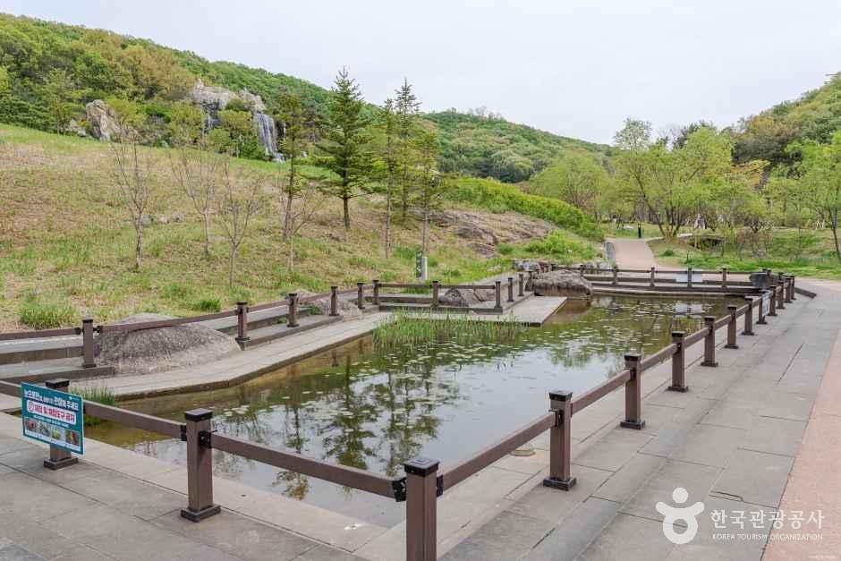 초막골생태공원 사진 4