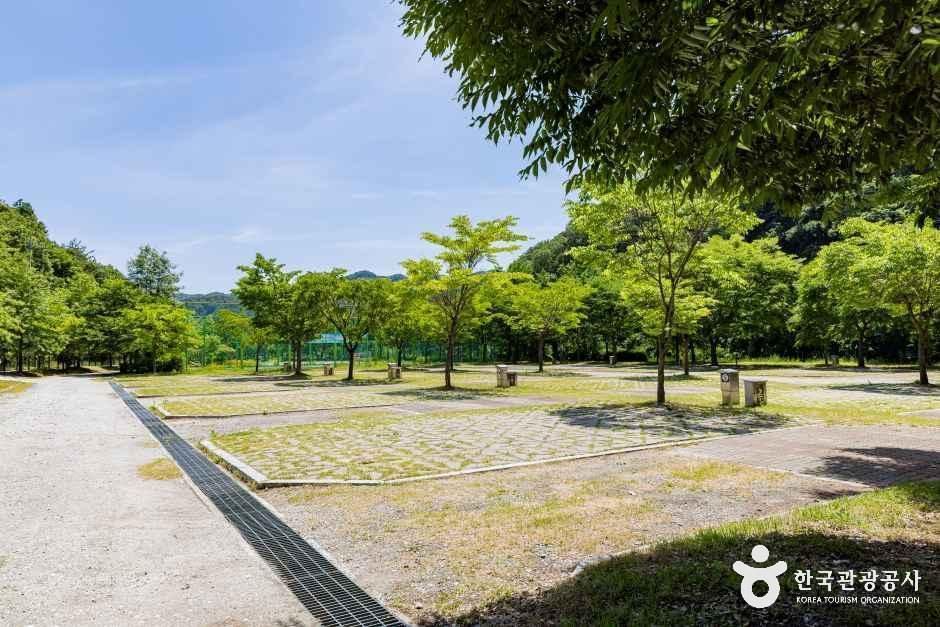 원남테마공원캠핑장