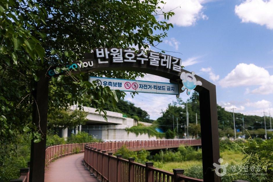 반월호수