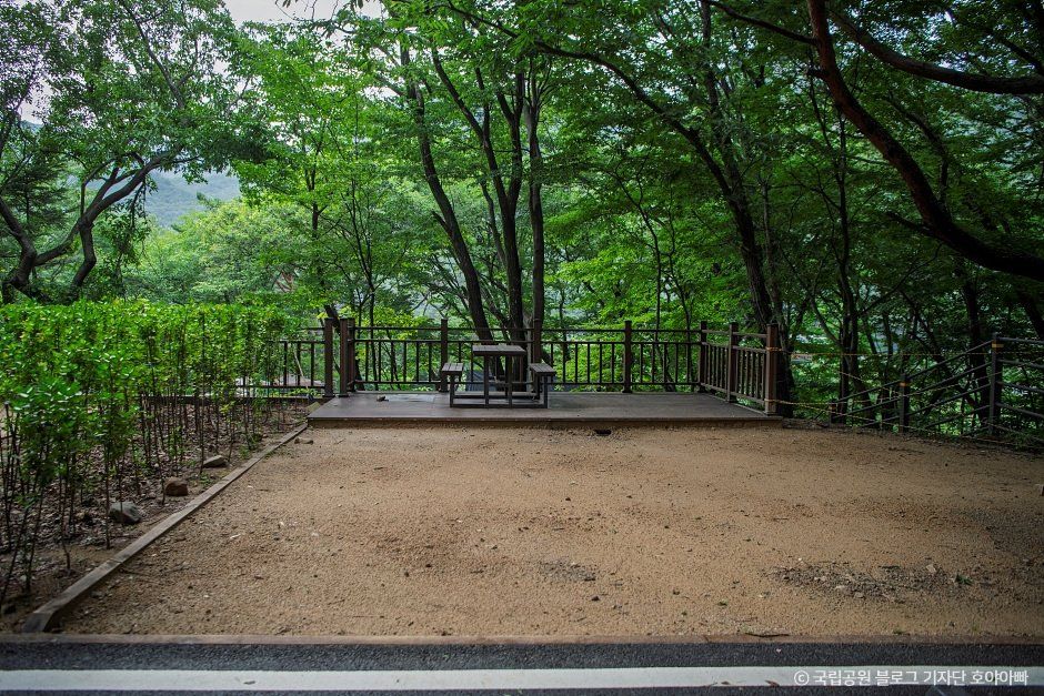 계룡산동학사야영장