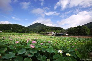 종남산(완주)