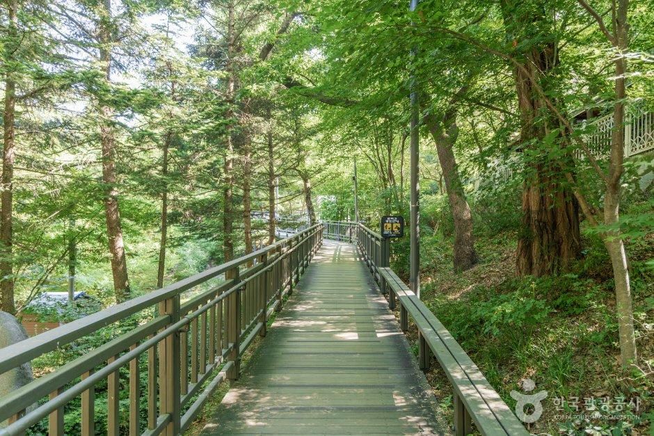배봉산