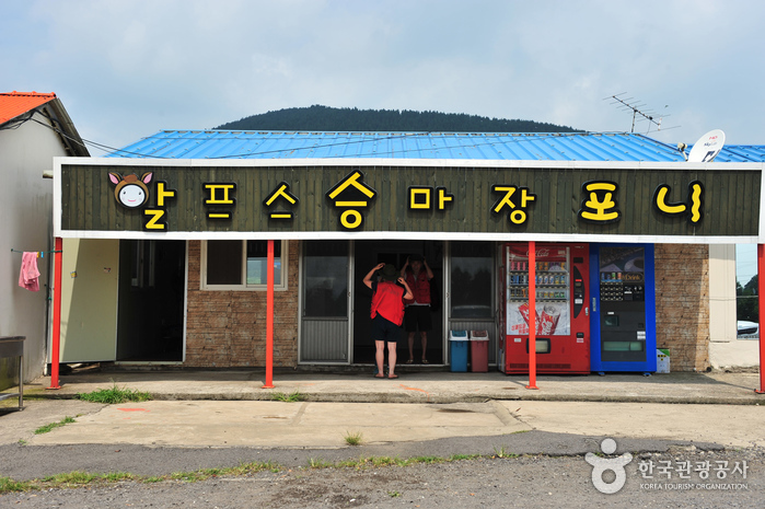 알프스제주