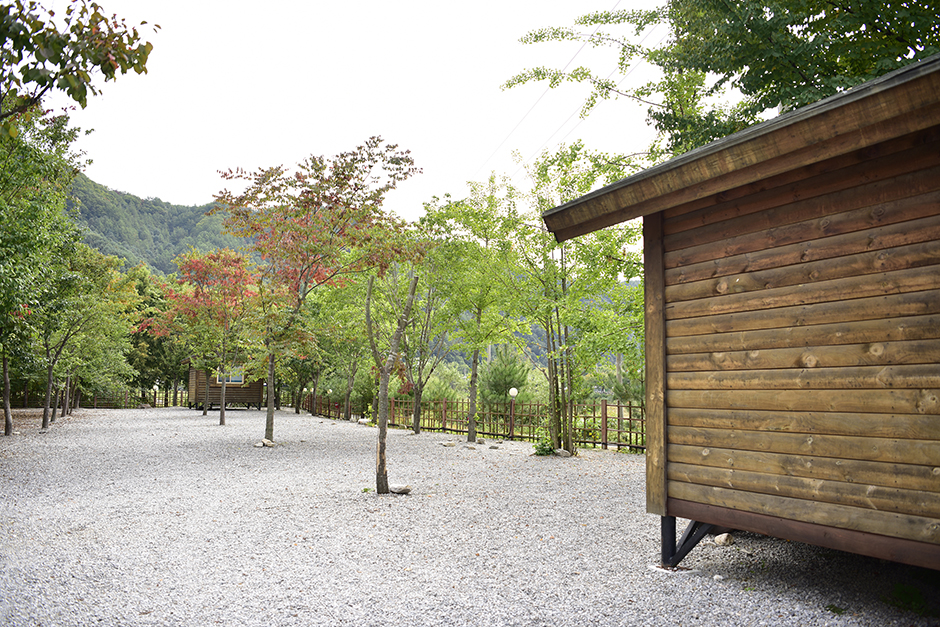 加平四季キャンプ場